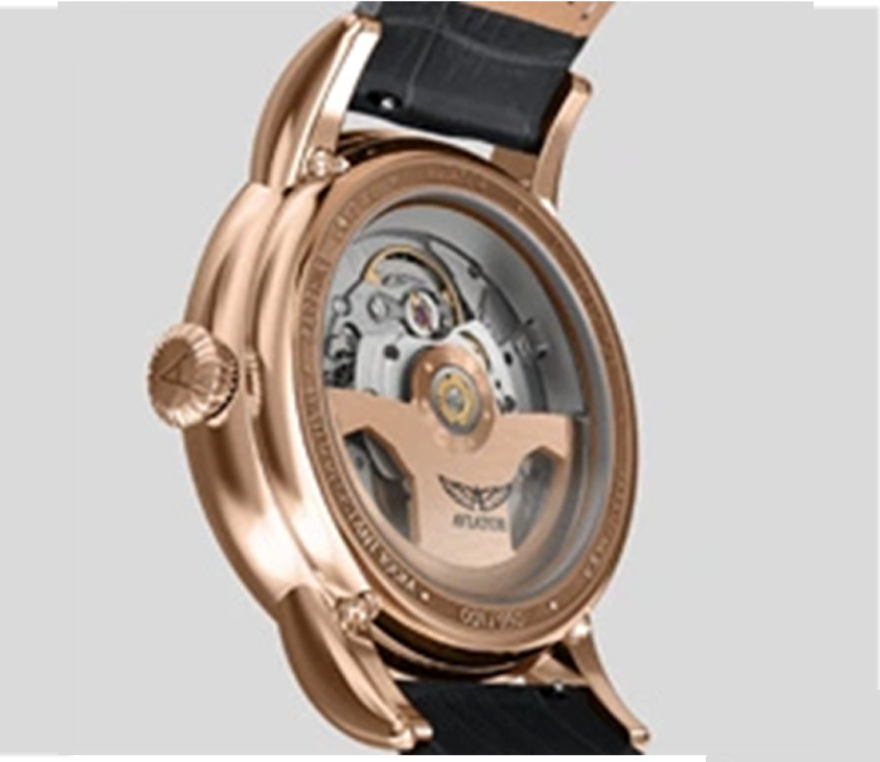 DOUGLAS DAY-DATE MECA-41 V.3.36.2.288.4